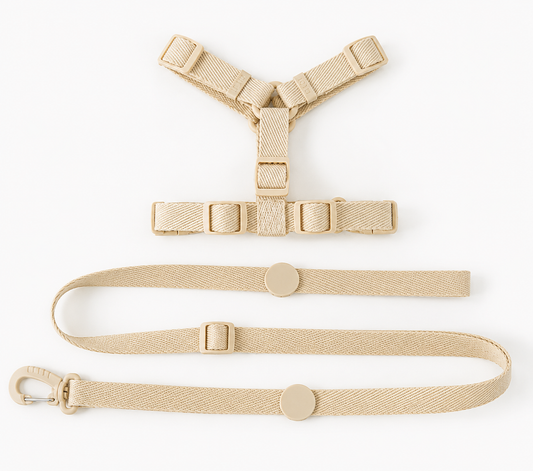 Mini Walk Set