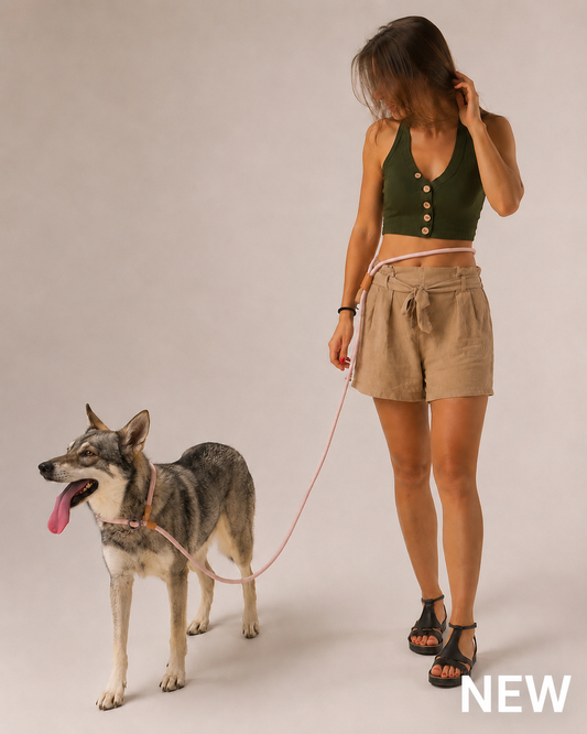 Hands Free Leash - 4 in 1