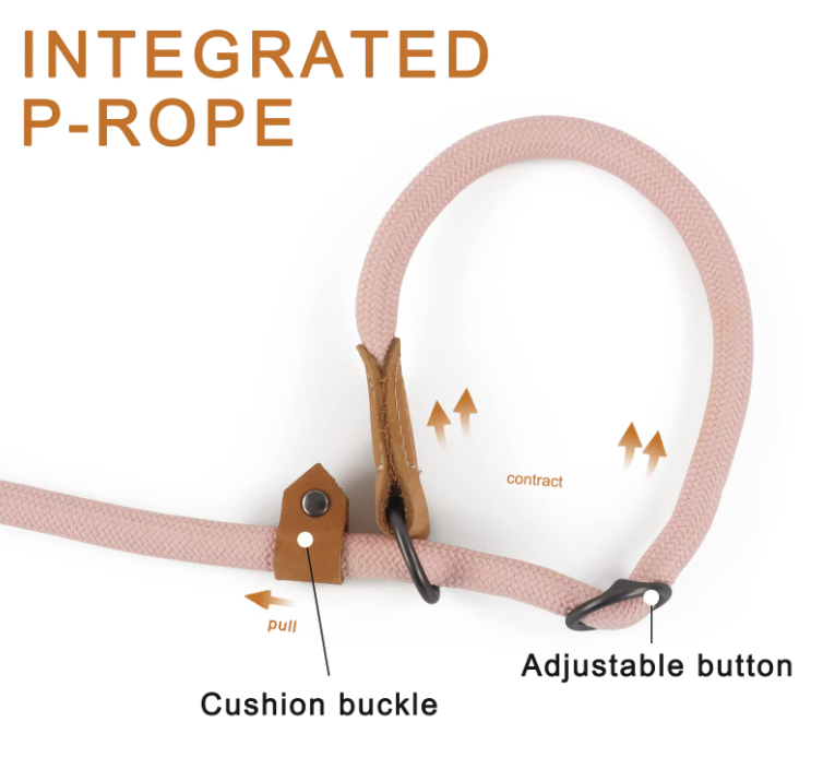 Hands Free Leash - 4 in 1