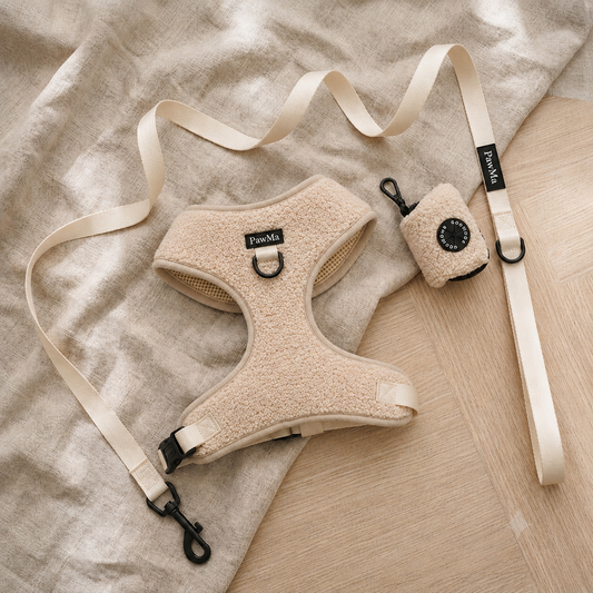 Teddy Walk Set