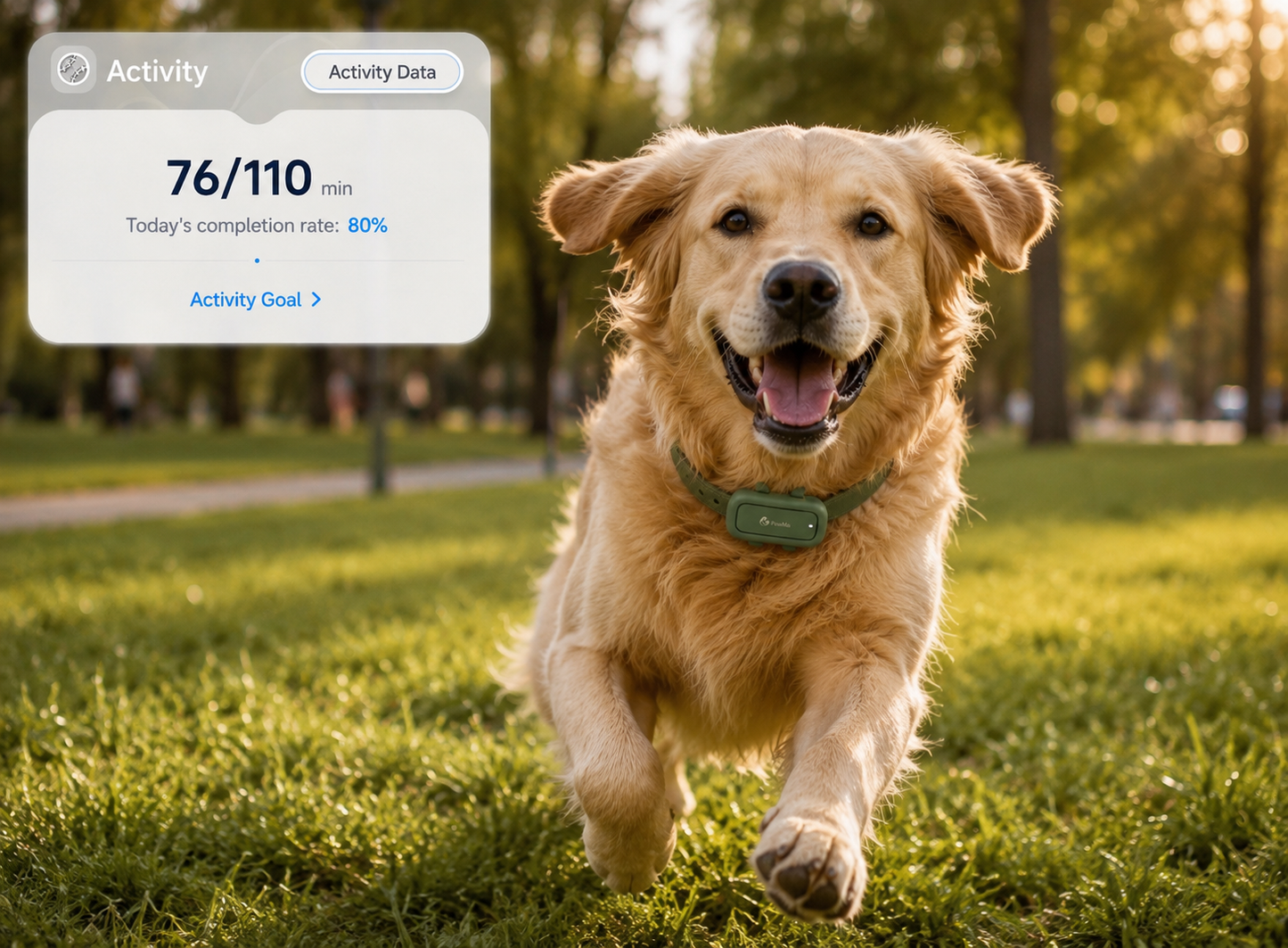 PawMa GPS&Health Tracker