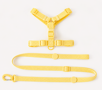 Mini Walk Set