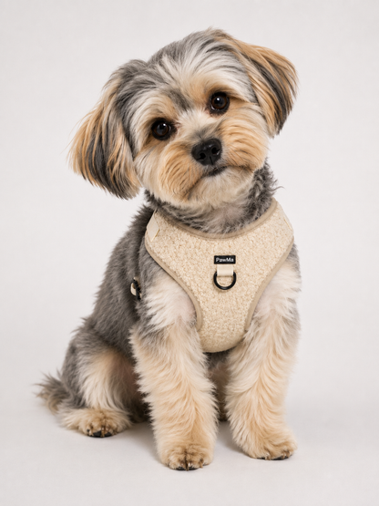 Teddy Harness