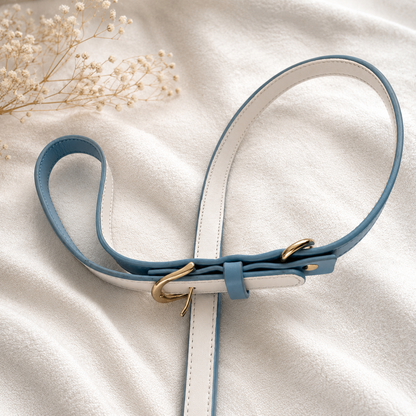 Matching Dog Leash Beverly