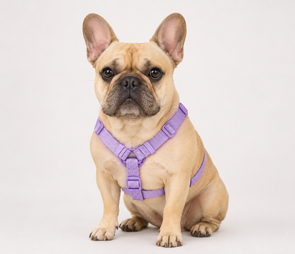Mini Harness