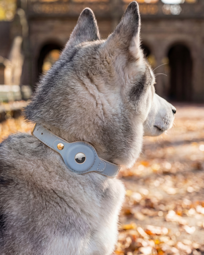 PawMa Beverly AirTag Dog Collar
