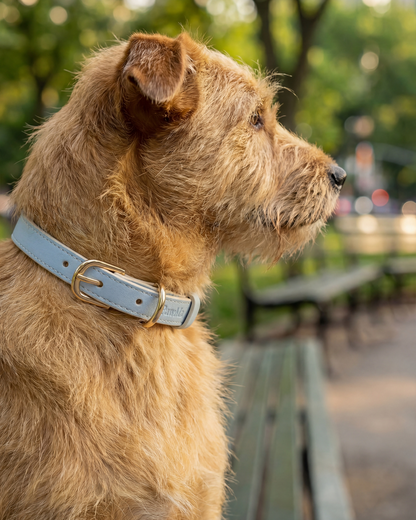 PawMa Beverly AirTag Dog Collar