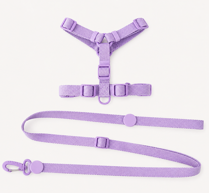 Mini Walk Set