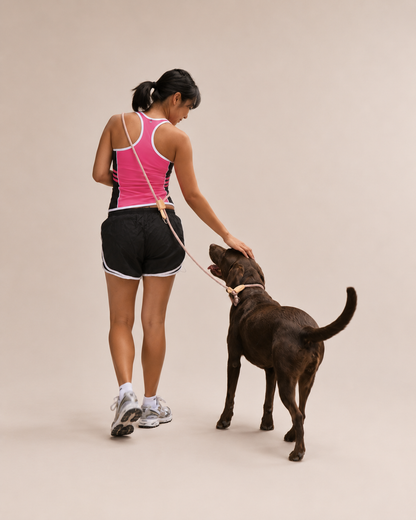 Hands Free Leash - 4 in 1