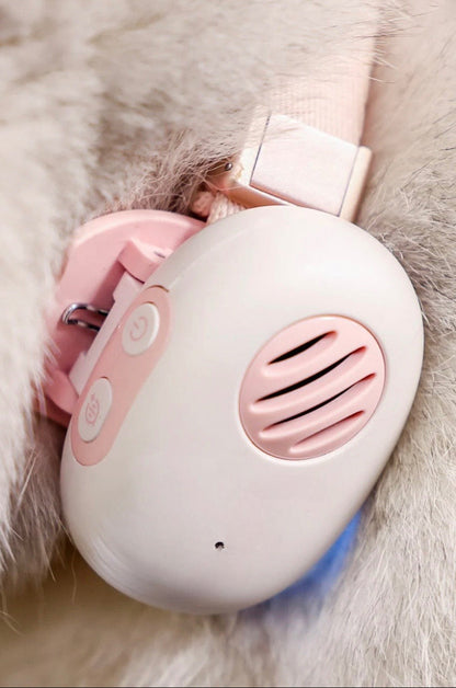First Real-Time Pet Translator