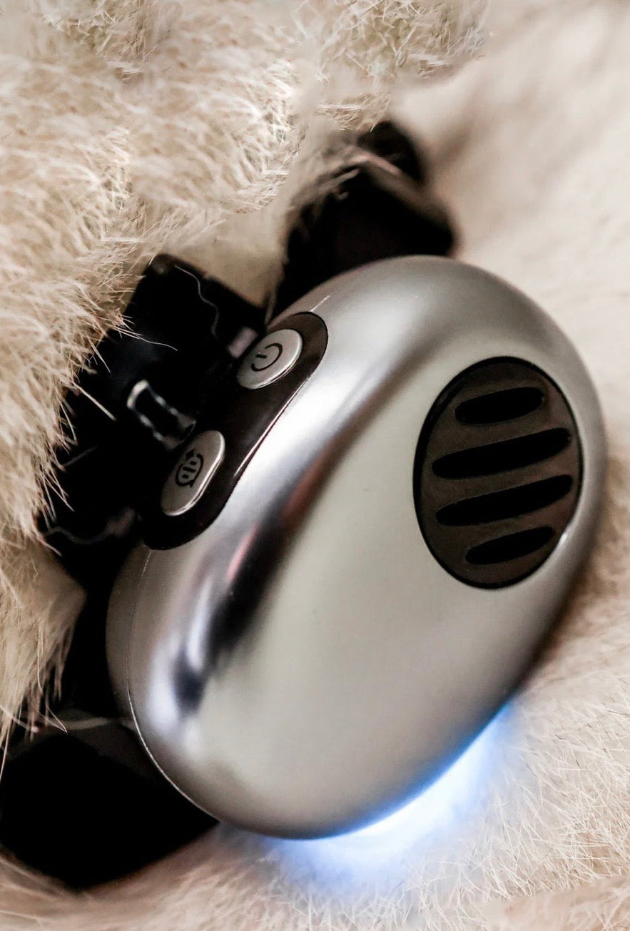 First Real-Time Pet Translator