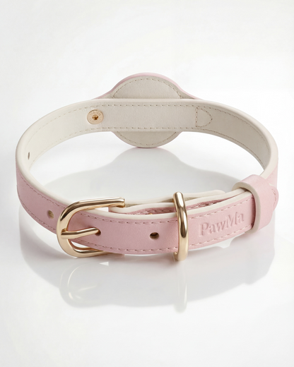 PawMa Beverly AirTag Dog Collar