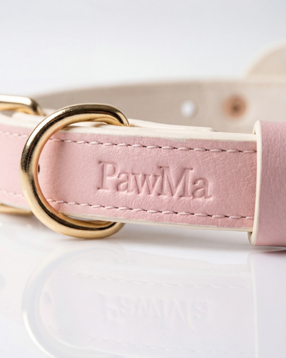 PawMa Beverly AirTag Dog Collar