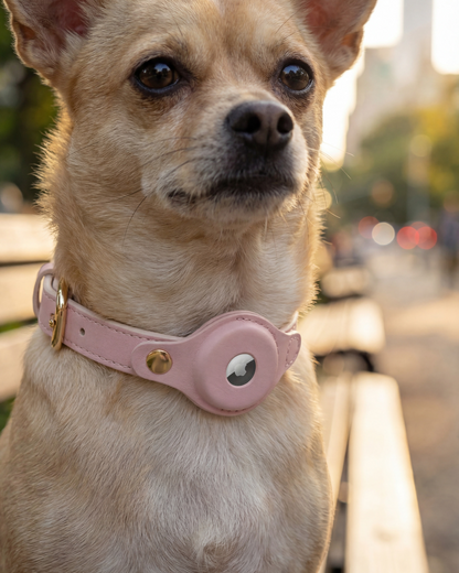 PawMa Beverly AirTag Dog Collar